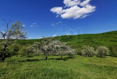 Teren Construcții extravilan de 680 mp, în Budeasa Mică - 10