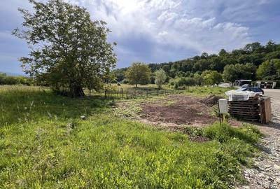 Teren Construcții intravilan de 720 mp, în Micești - 2