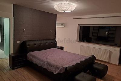 Vila in apropiere de IANCU NICOLAE-JOLIE VILLE - 11