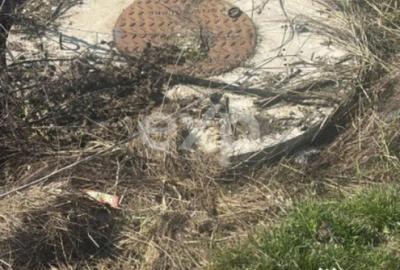 Teren de 900 mp, în Trivale - 1