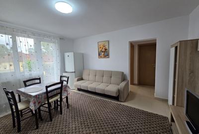 Apartament cu 2 camere semidecomandat, mobilat în Giroc - 4