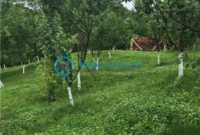 Casă individuală cu 2 camere cu Teren 1380 Mp în Teișani - 7