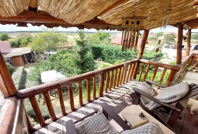 Unde Tradi?ia Intalne?te Confortul Domeniu Rustic 3 - 15