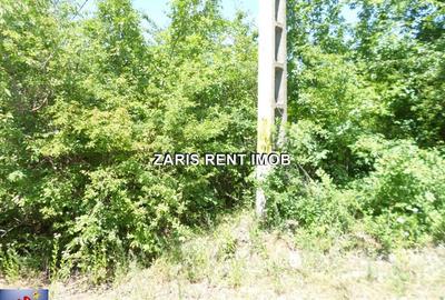Teren intavilan langa Casa Seciu, Prahova - 3