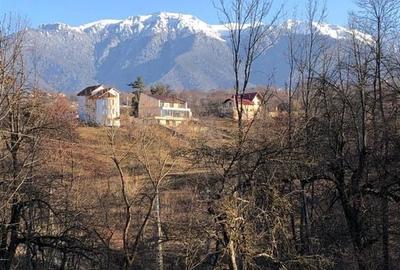 Parcele teren intravilan 2000 mp, curent, apa si gaz langa teren - 7