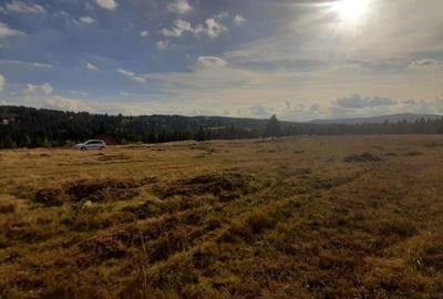 Teren de 1000 mp, în Central