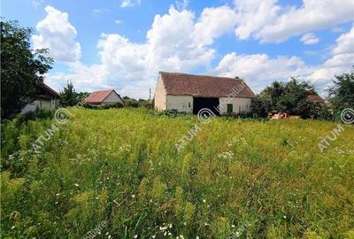 Casa cu 4 camere si 1650 mp teren in Porumbacu de Jos jud Sibiu - 6