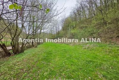 Teren de 9500 mp, în Nojag - 2
