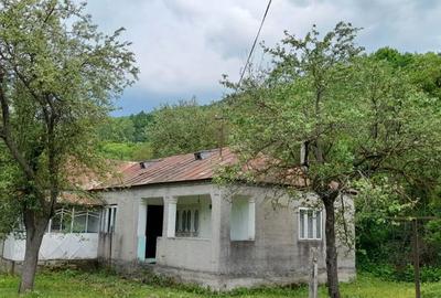 Casă cu 4 camere în Vulcăneasa - 5