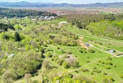 Teren Intravilan parcele 1000mp - 17