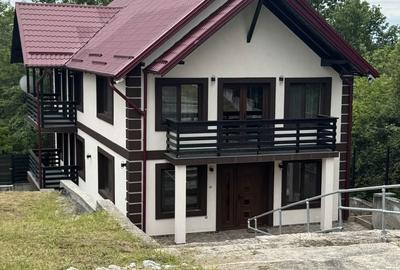 Casă cu 8 camere cu Teren 2800 Mp în Milcoiu - 18