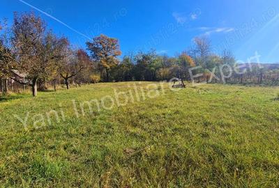 Casa de vanzare in Curtea de Arge?. - 20