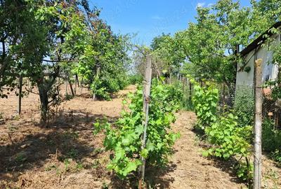 Casa de vinzare cu teren de 2636 mp ieftina la Gherghita pozitie excelenta pentru vila - 9