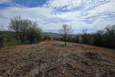 Teren de 6704 mp, în Bârsău - 14