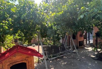 Parc Carol vila interbelica cu 5 camere 116 mp si demisol - 2