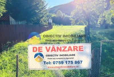 TEREN intravilan   8.000 mp TARCAU - 1