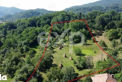 Teren de 6348 mp, în Corbeni - 7