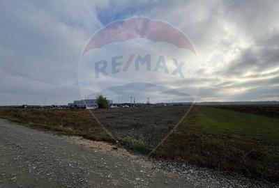 Terenuri 1000 mp- pt.hale, depozite, spatii de productie sau logistica - 5