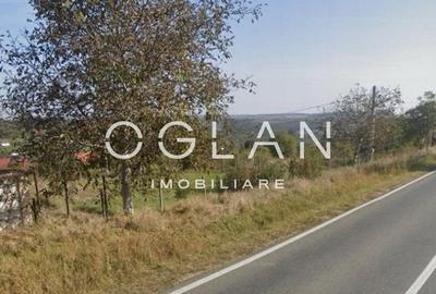 Teren intravilan 1020 mp in Daia Noua, Sibiu -pretabil constructie! Teren intravilan 1020 mp in Daia Noua, Sibiu -pretabil constructie! - 3