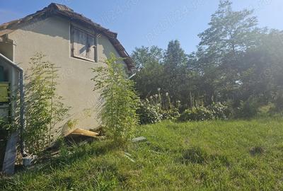 TEREN + CASA comuna Lapu?ata , sat Bro?teni. jude?ul Valcea - 4