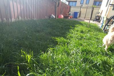 Casă individuală cu 4 camere cu Teren 180 Mp în Fundeni - 2