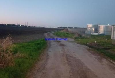 Teren constructie hale - 1