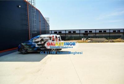 Hala Depozitare Afumati sd 2277 mp Teren 4178 mp Hala Depozitare Afumati sd 2277 mp Teren 4178 mp - 9