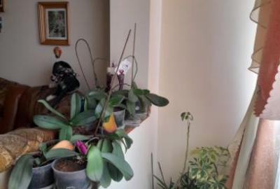 Apartament cu 3 camere semidecomandat în Central - 1