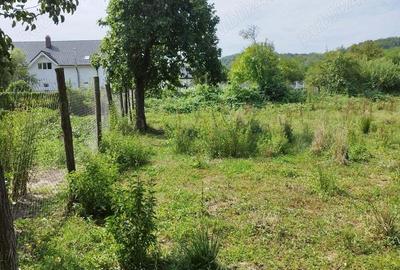 Teren de 990 mp, în Drinova - 1