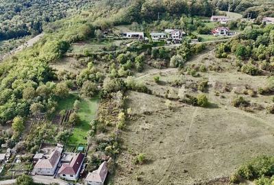 Teren intravilan cu vedere panoramică  4230mp - Mediaș - 8