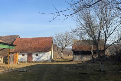 Casă cu 3 camere în Sâncel - 2