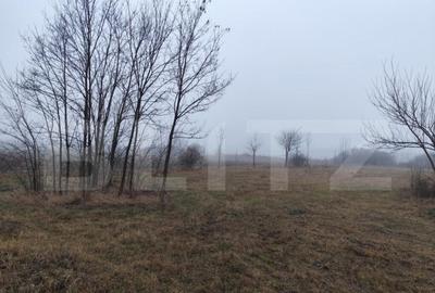 Teren de 1958 mp, în Ciurea - 2