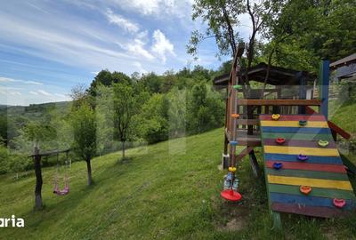 Casă cu 3 camere cu Teren 4300 Mp în Meteș - 4