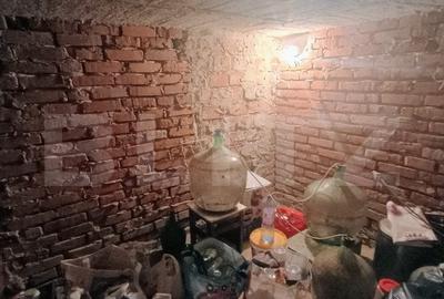 Apartament cu 3 camere si curte de 166 mp in proprietate, zona Rudului - 14