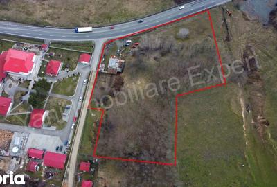 Teren de 10141 mp, în Morărești - 11