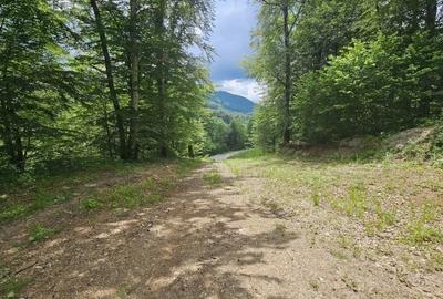 REL4001144 Teren de vanzare in Valea Doftanei - 8