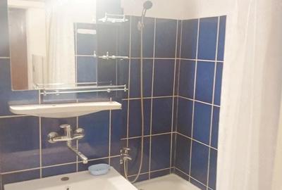 Garsonieră decomandată în Ultracentral - 1