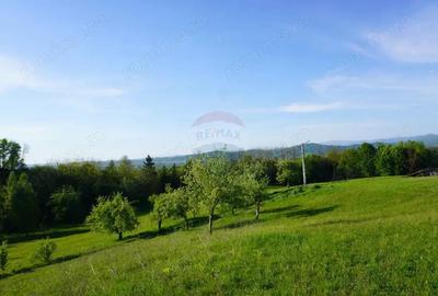 Teren 38,592mp Sighetu Marmatiei / Strada Mocani?ei - 2