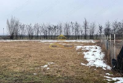 Teren de 900 mp, în Săucești - 4