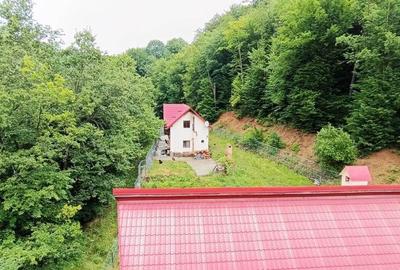 Hotel/Pensiune, de 1,500 mp, în Vâlcele - 5