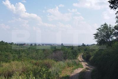 Teren de 3600 mp, în Central - 6