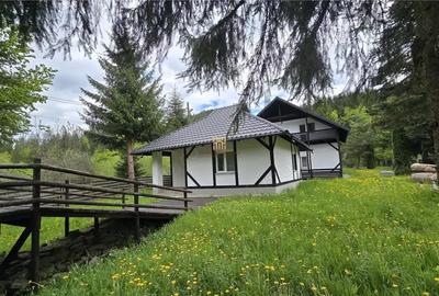 Casă cu Teren 2000 Mp în Mălini - 12