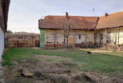 Casă cu Teren 3415 Mp în Pișchia