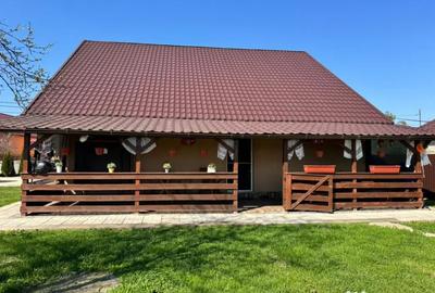 Casă cu 3 camere cu Teren 1100 Mp în Mireșu Mare - 12