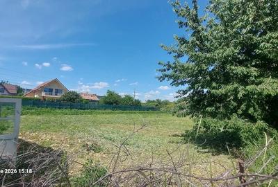 Casă cu Teren 2500 Mp în Șerbănești