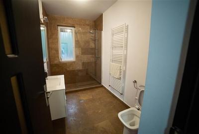 De vanzare 2 vile deosebite cu activitate hoteliera in zona turistica din jud. M - 4