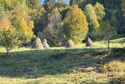 Cabana de lemn, 7 camere - afacere la cheie - Brasov - 3