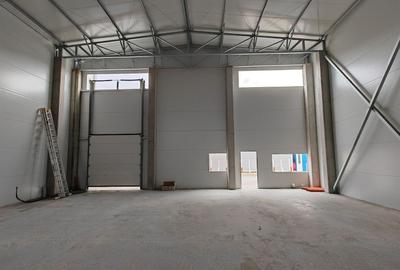 Spatiu depozitare/productie 500 mp, zona Sud - 1