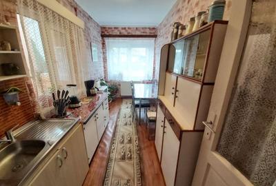 Casa de vanzare cu teren generos - 8