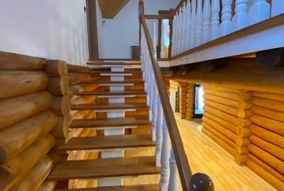 Casă individuală cu 6 camere cu Teren 20000 Mp în Panaci - 11